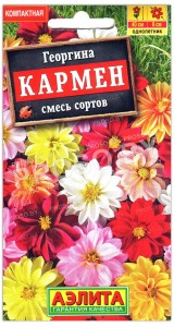 Георгина Кармен, смесь