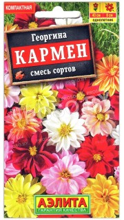 Георгина Кармен, смесь