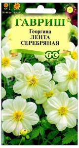 Георгина Лента серебряная