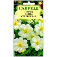 Георгина Лента серебряная