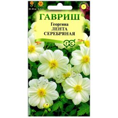 Георгина Лента серебряная