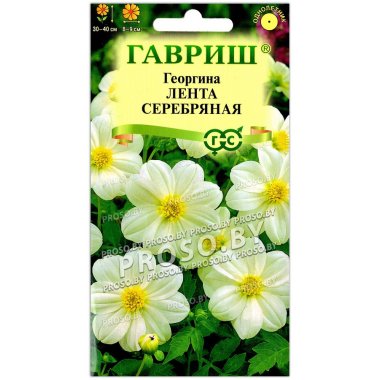 Георгина Лента серебряная