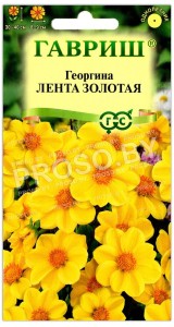 Георгина Лента золотая