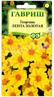 Георгина Лента золотая