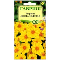 Георгина Лента золотая