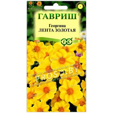 Георгина Лента золотая