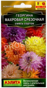Георгина Махровая срезочная, смесь