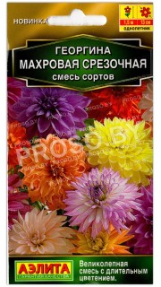Георгина Махровая срезочная, смесь