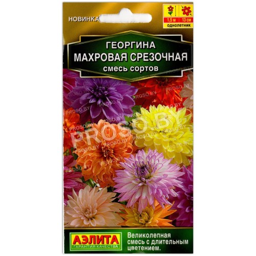 Георгина Махровая срезочная, смесь