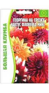 Георгина на срезку Кактус фловеред микс