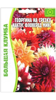 Георгина на срезку Кактус фловеред микс