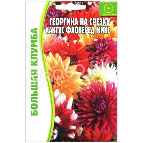 Георгина на срезку Кактус фловеред микс
