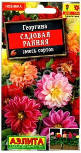Георгина Садовая ранняя, смесь