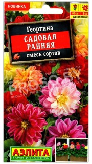 Георгина Садовая ранняя, смесь