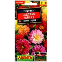 Георгина Садовая ранняя, смесь
