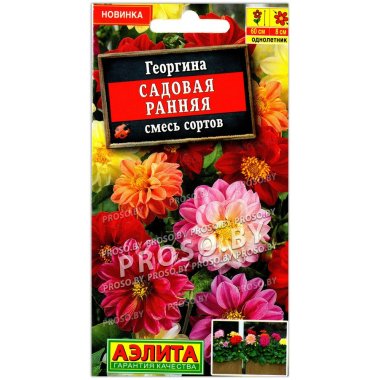 Георгина Садовая ранняя, смесь
