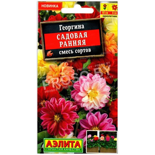 Георгина Садовая ранняя, смесь