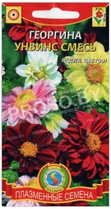 Георгина Унвинс, смесь