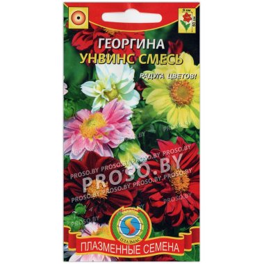 Георгина Унвинс, смесь