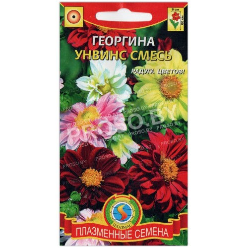 Георгина Унвинс, смесь