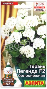 Герань Легенда белоснежная F2
