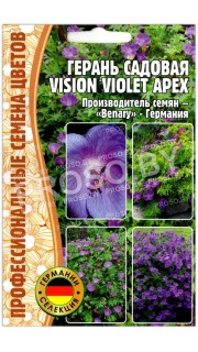 Герань садовая Vision violet apex