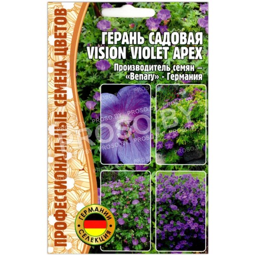 Герань садовая Vision violet apex