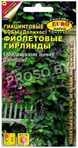 Гиацинтовые бобы Фиолетовые гирлянды