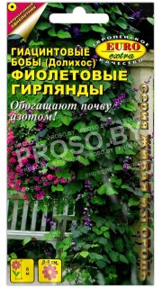 Гиацинтовые бобы Фиолетовые гирлянды