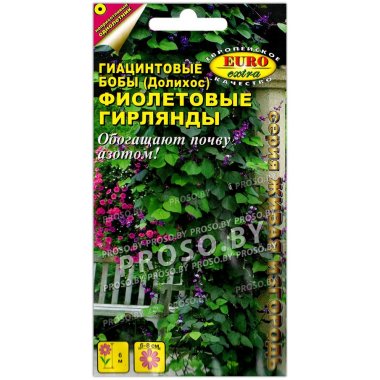 Гиацинтовые бобы Фиолетовые гирлянды