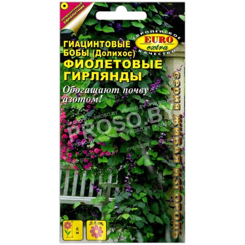 Гиацинтовые бобы Фиолетовые гирлянды