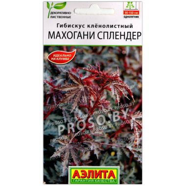 Гибискус кленолистный Махогани сплендер