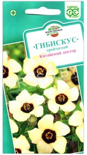 Гибискус тройчатый Китайский доктор