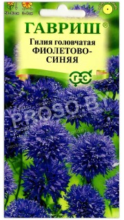 Гилия головчатая Фиолетово-синяя (Гавриш)