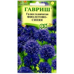 Гилия головчатая Фиолетово-синяя