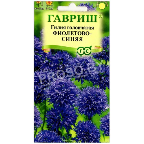 Гилия головчатая Фиолетово-синяя (Гавриш)