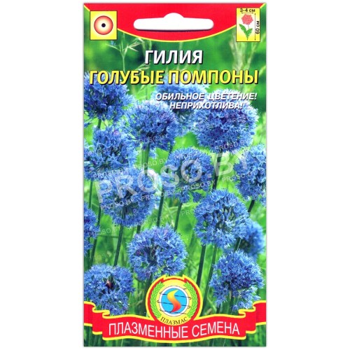 Гилия Голубые помпоны