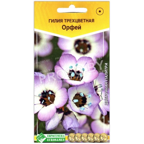 Гилия Орфей