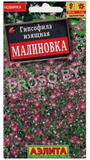 Гипсофила изящная Малиновка