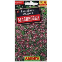 Гипсофила изящная Малиновка