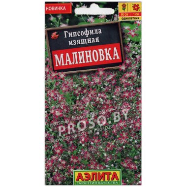 Гипсофила изящная Малиновка
