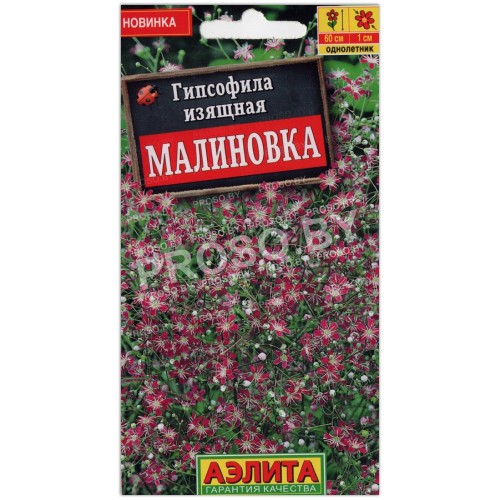 Гипсофила изящная Малиновка