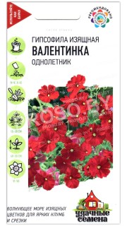Гипсофила изящная Валентинка