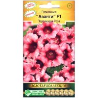 Глоксиния Аванти персиковая роза F1