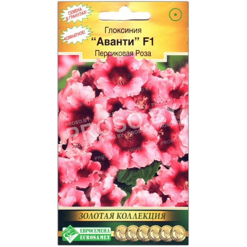 Глоксиния Аванти персиковая роза F1