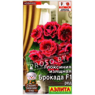 Глоксиния Брокада ред F1