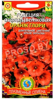 Годеция Оранж Глори