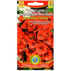 Годеция Оранж Глори