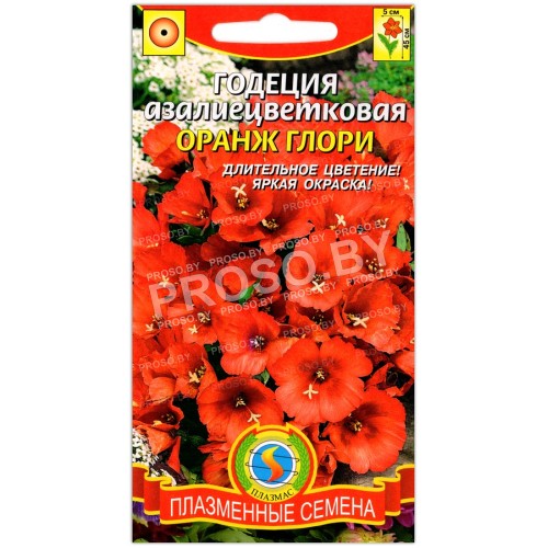 Годеция Оранж Глори