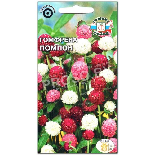 Гомфрена Помпон, смесь